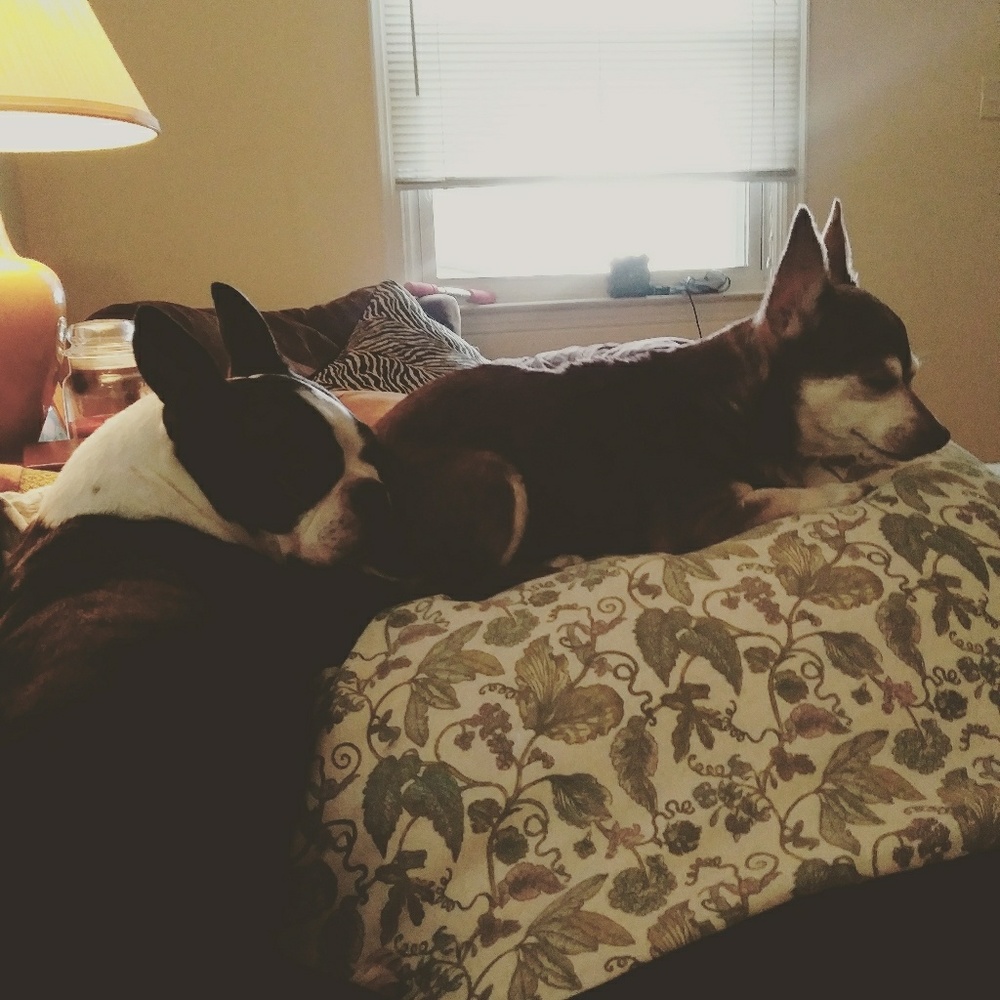 Vintage, boho, brand names, festival wear, etc